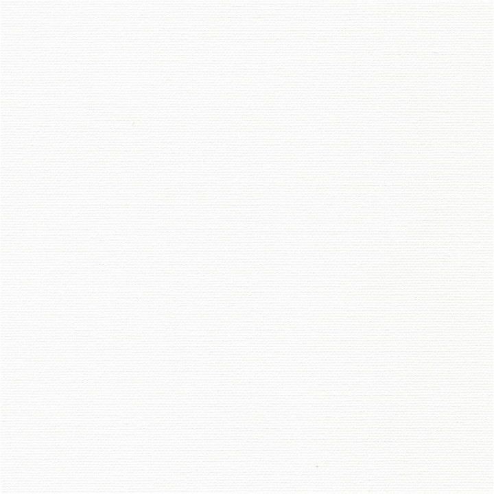 ОМЕГА FR 0225 белый, 250 см_300162_0225