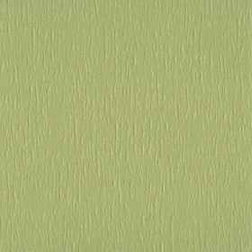 СИДЕ 5586 зеленый 89 мм_100101_5586