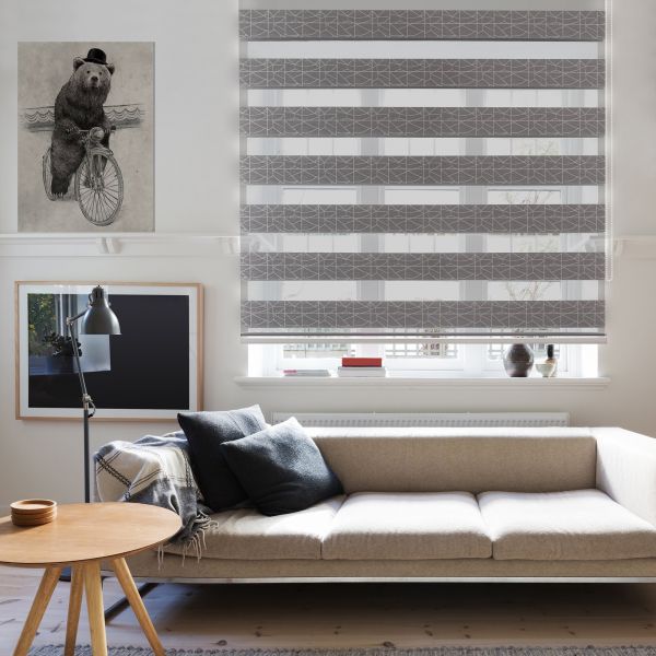 Жалюзи день-ночь