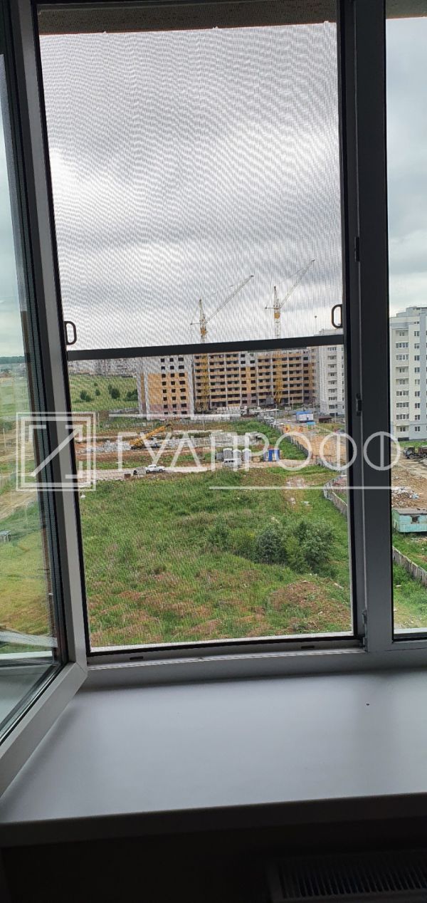 Изображение №1